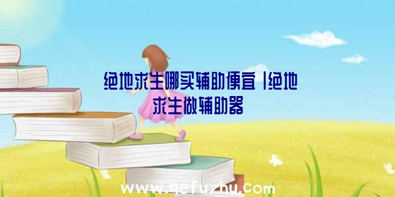 「绝地求生哪买辅助便宜」|绝地求生做辅助器